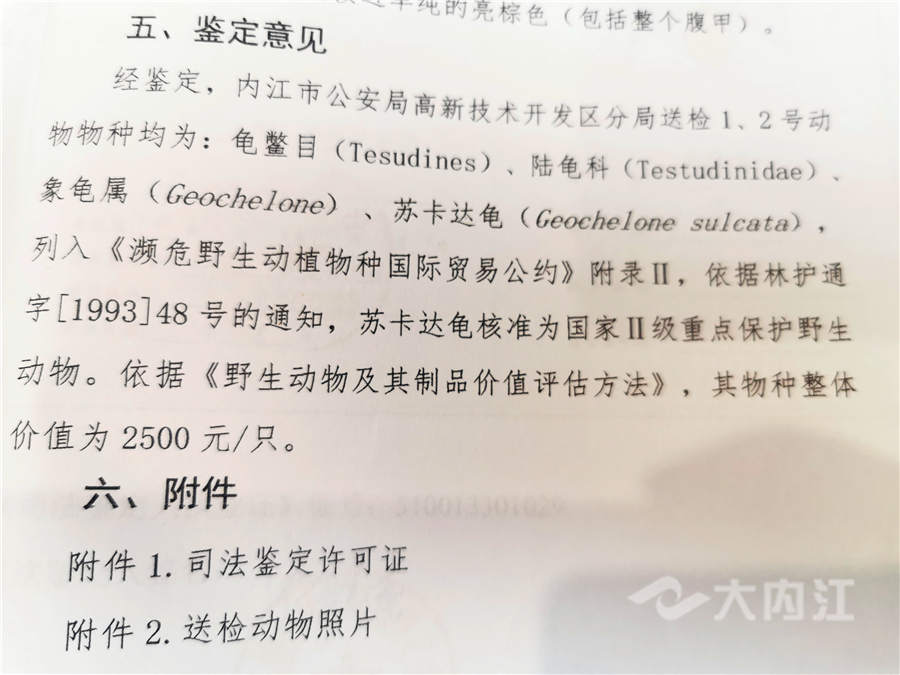 281621_1593485426419402.jpg 11_副本.jpg