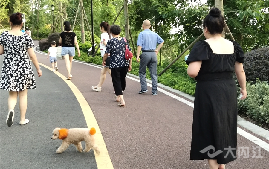 281621_1593509576892158.png 1_副本.png