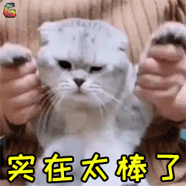 281698_1592990872391316.gif A9.gif