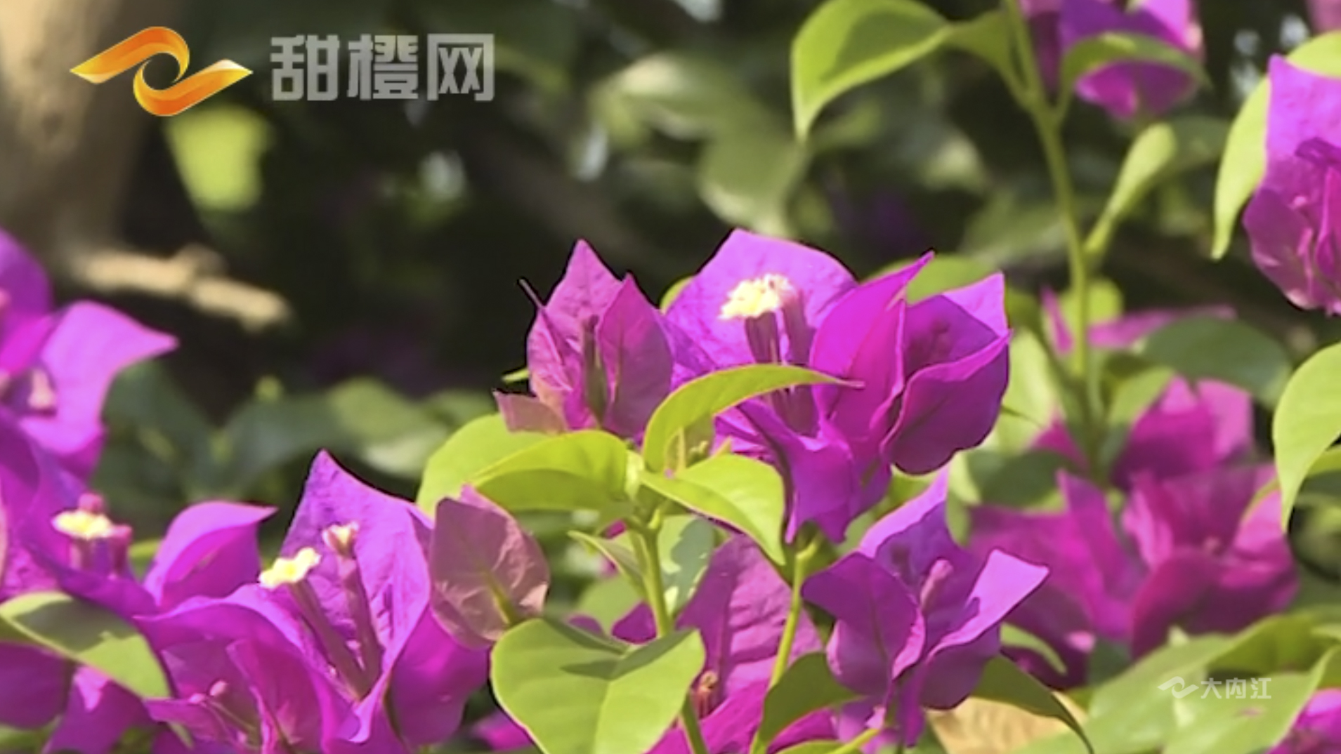 塔山5.jpg