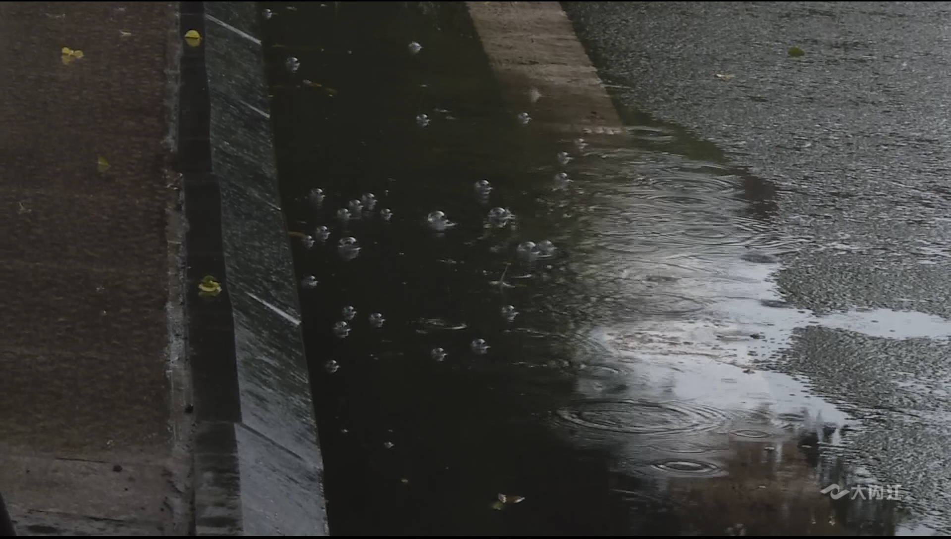 暴雨4.jpg