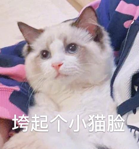 281886_1597328342997186.png 微信图片_20200813221853.png