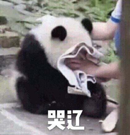281886_1597328413834373.jpg 微信图片_20200813222005.jpg