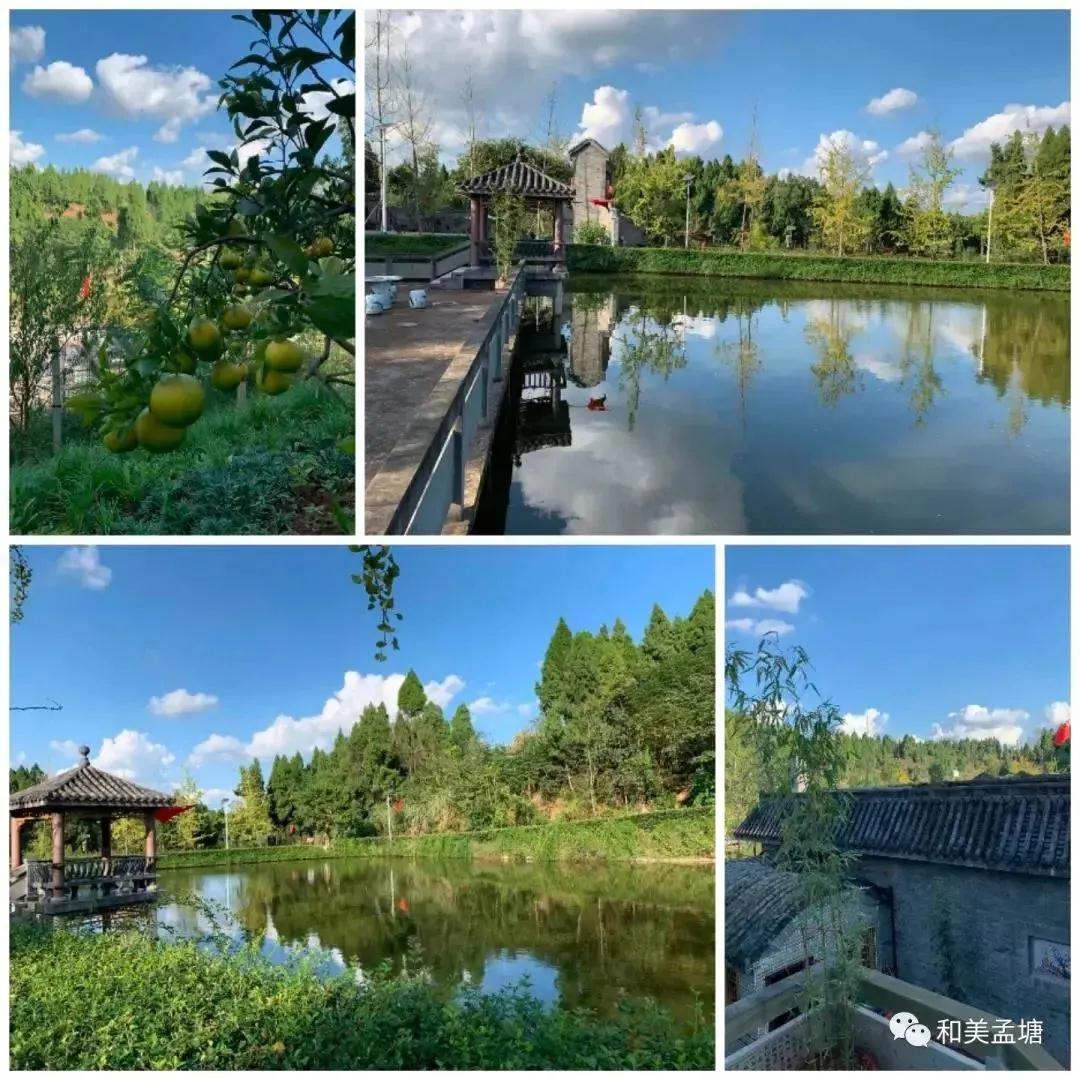 281876_1606031986475479.jpg 微信图片_20201122160233.jpg
