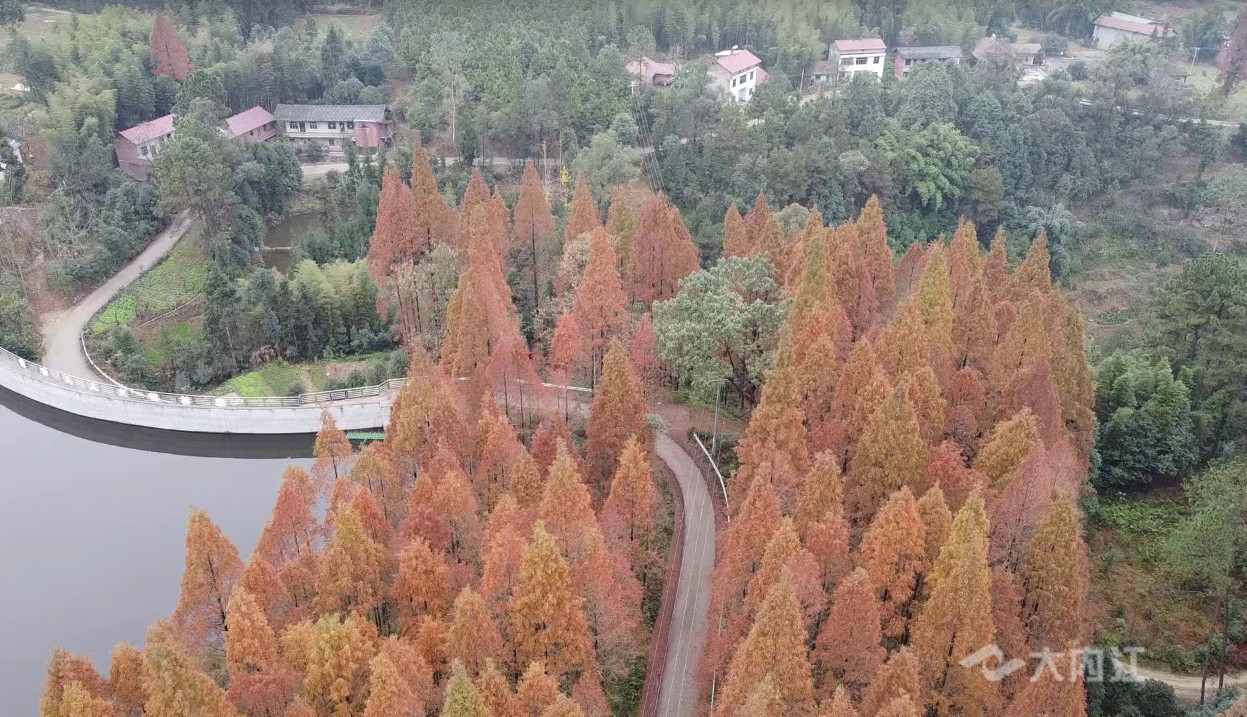 微信截图_20210113114228.jpg