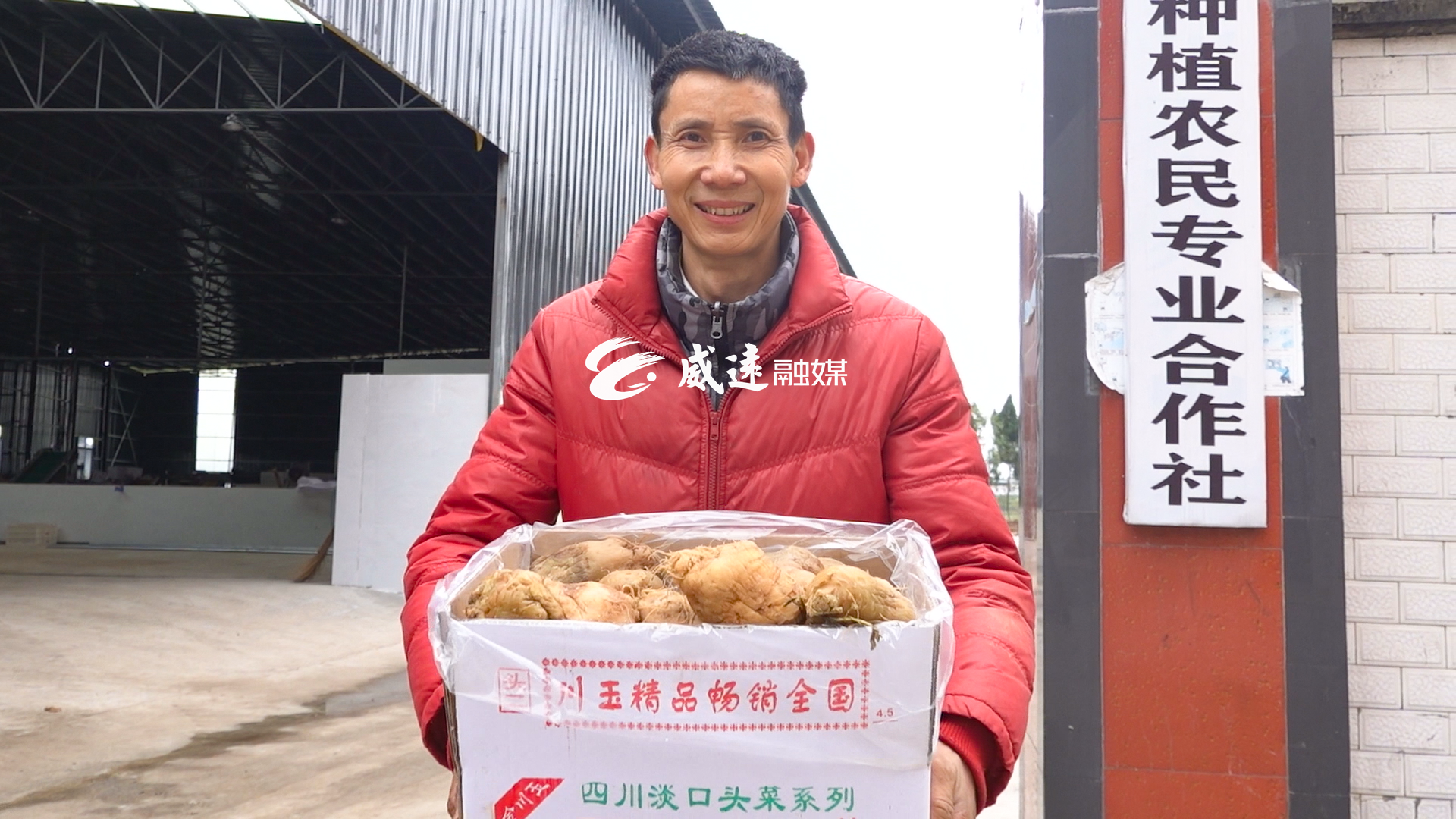 282377_1610885045849340.png 大头菜5.png