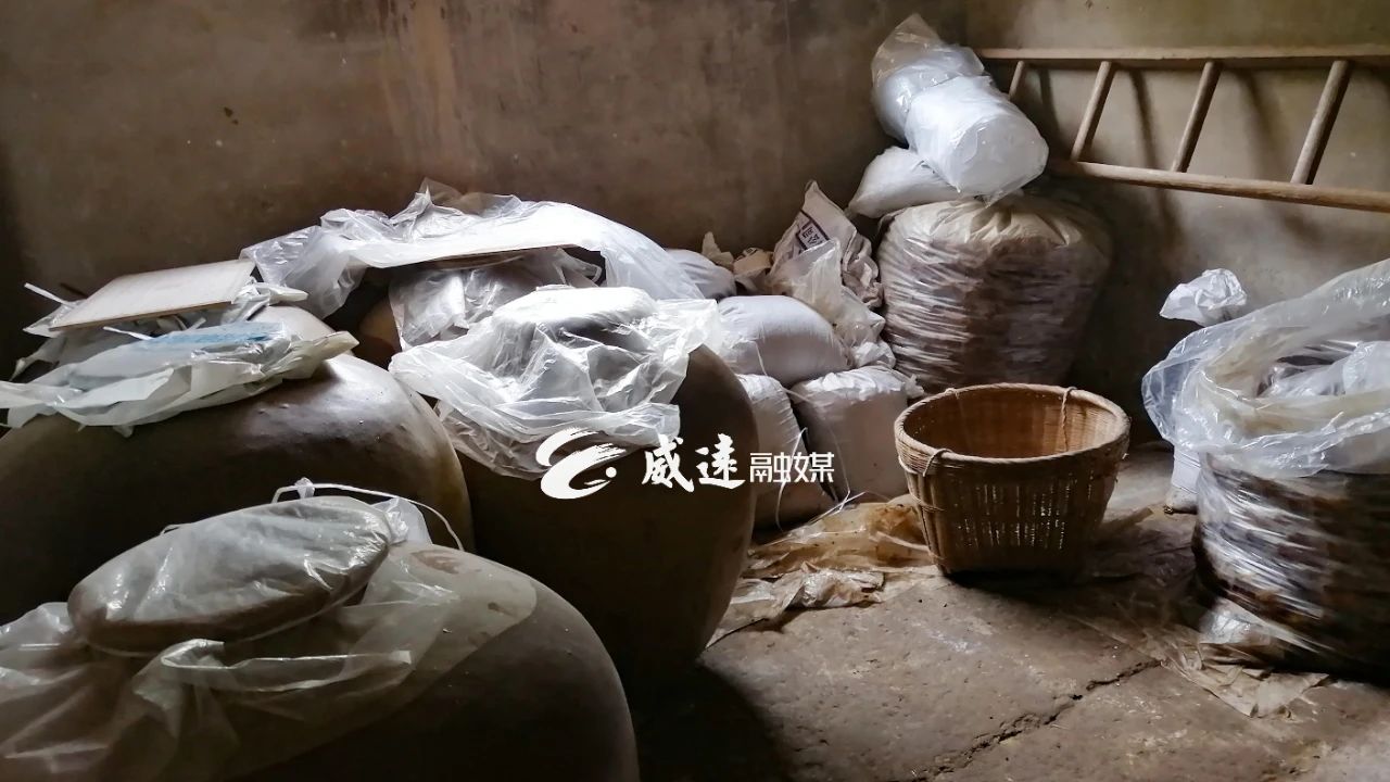 大头菜12.jpg