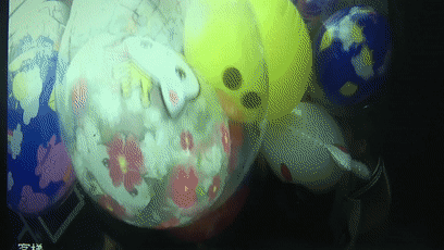5.gif