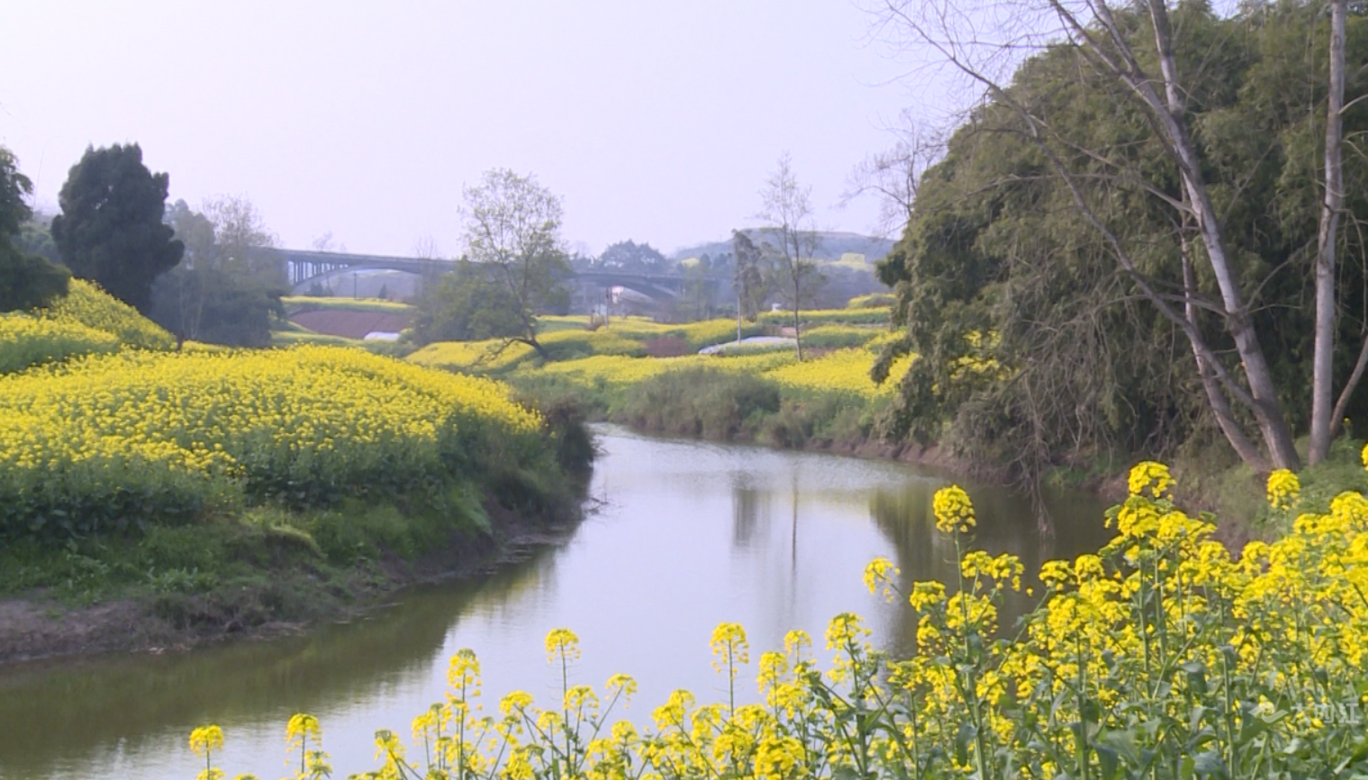 乌龙河美景 (2).png