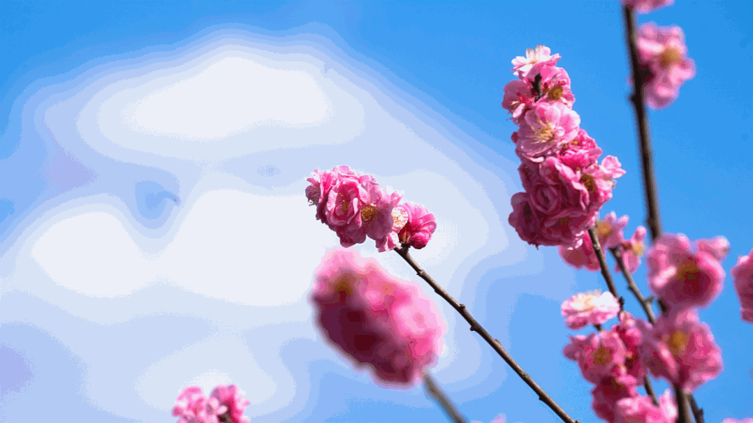 281877_1613825422365192.gif 5.gif