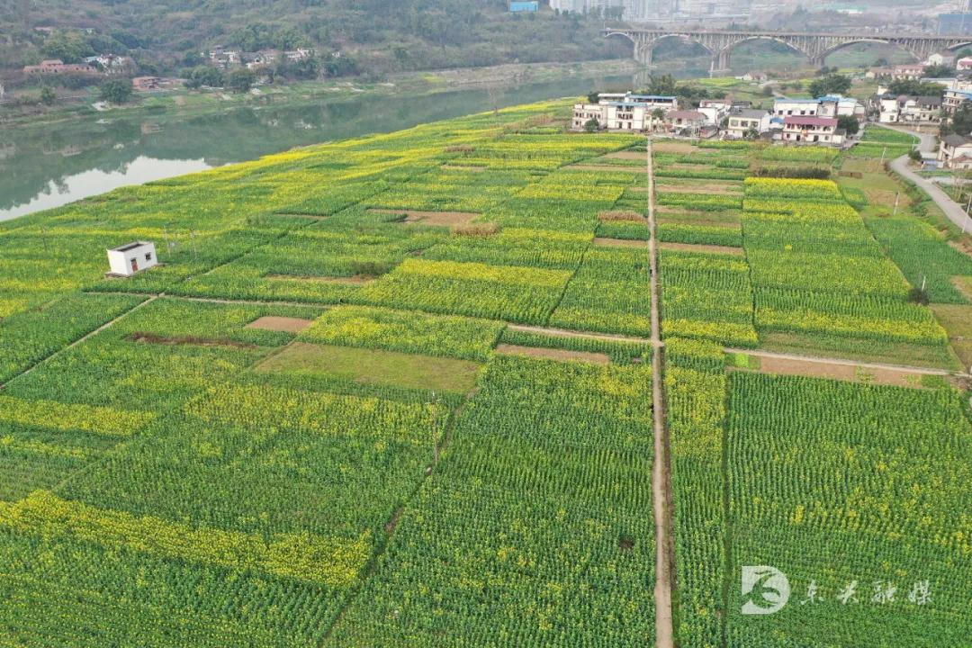 282377_1613980065347540.jpg 东兴27.jpg