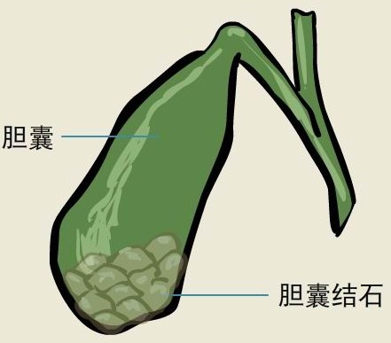 282377_1613988179146068.jpg 健康内江3.jpg