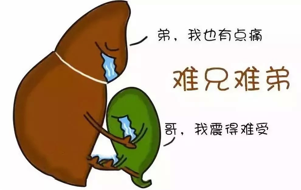 282377_1613988213822670.jpg 健康内江5.jpg