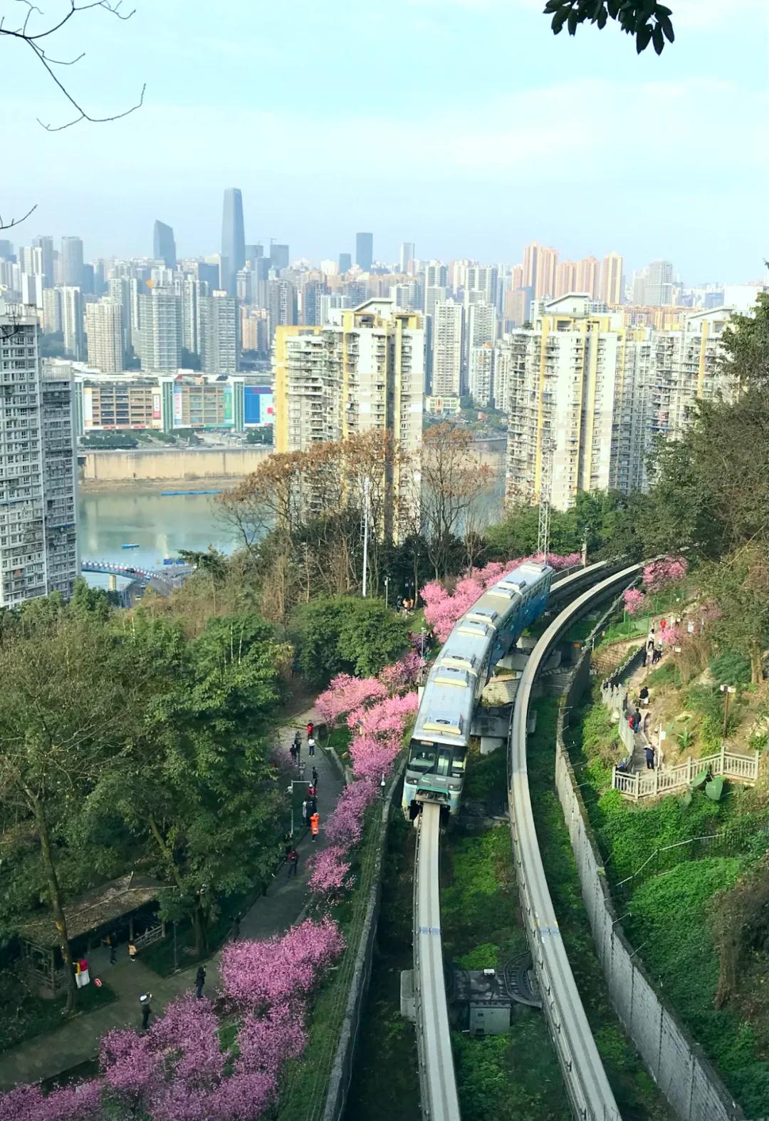 282377_1614044297166768.jpg 重庆3.jpg