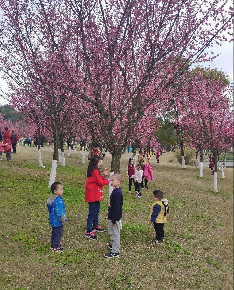282377_1614044416642190.jpg 重庆9.jpg