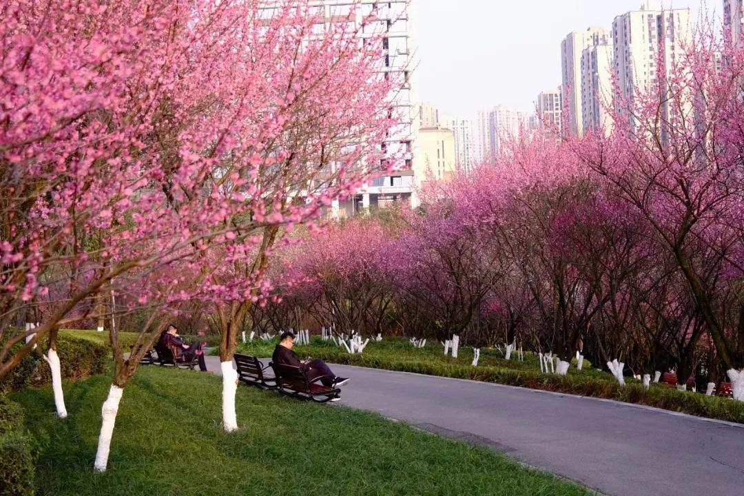 282377_1614044440530454.jpg 重庆10.jpg