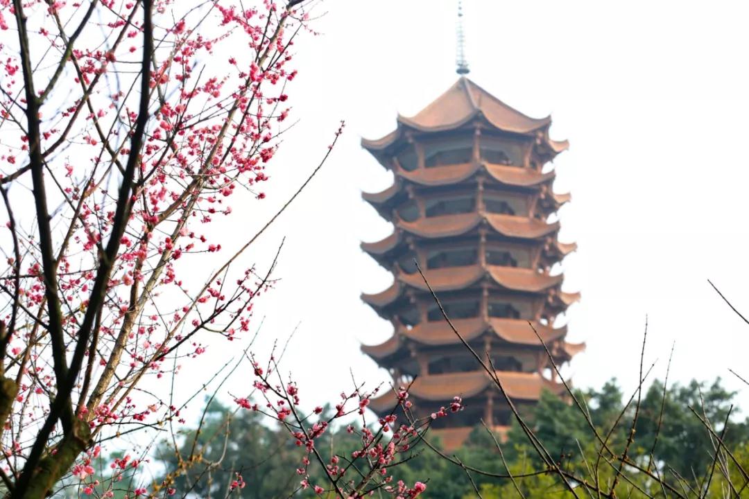 282377_1614044560195526.jpg 重庆12.jpg