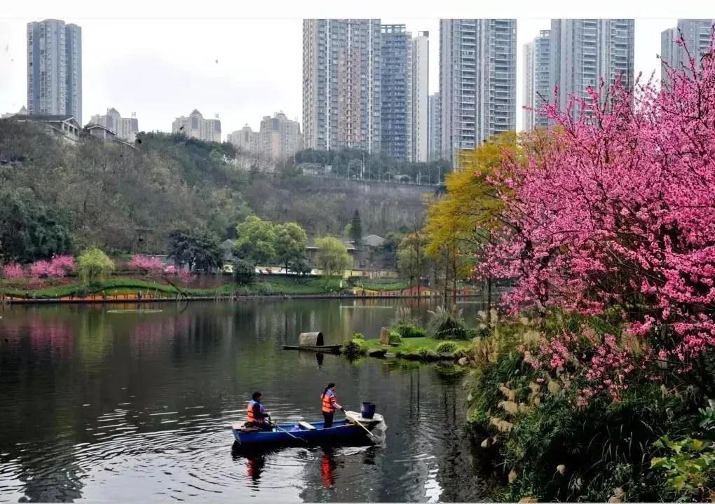 282377_1614045057118859.jpg 重庆22.jpg