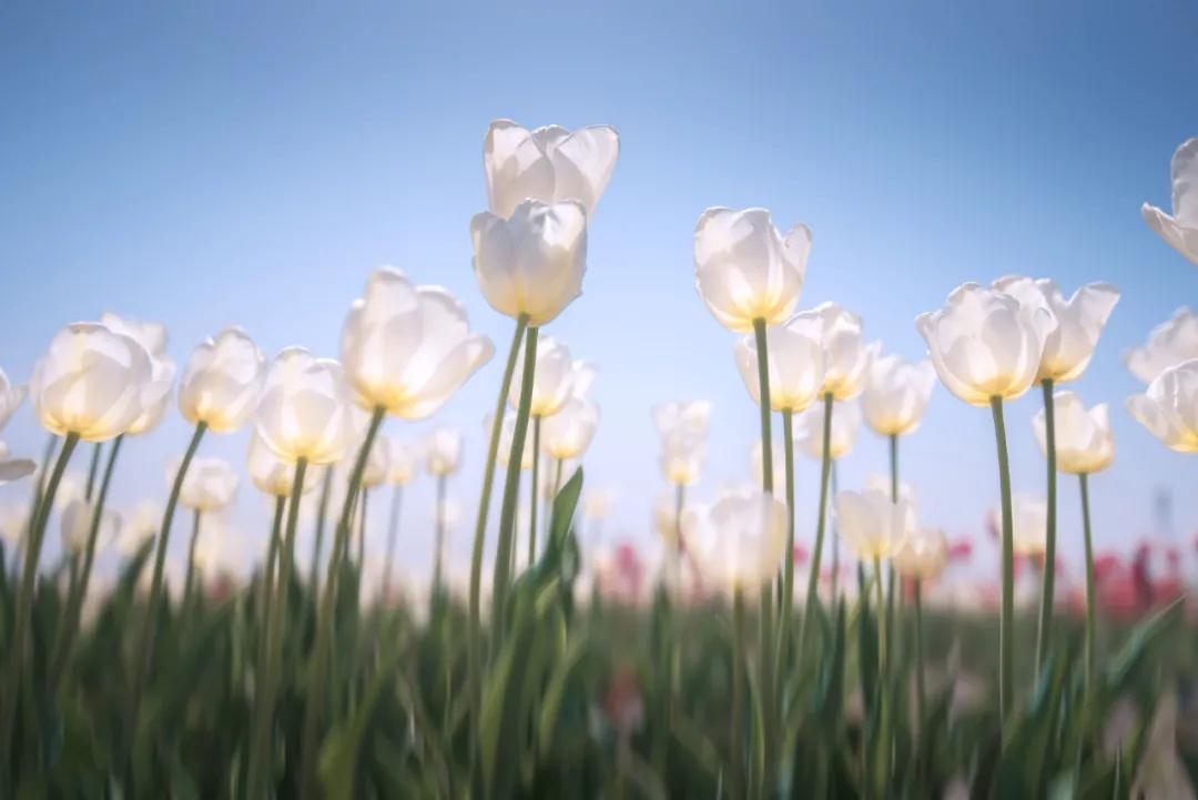 282377_1614045188279519.jpg 重庆27.jpg