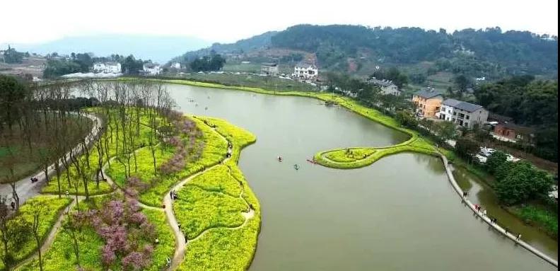 282377_1614045354680346.jpg 重庆38.jpg