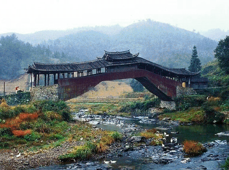 282377_1614047660560814.gif weiyuan1.gif