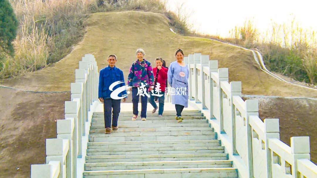 282377_1614047722645467.jpg weiyuan5.jpg