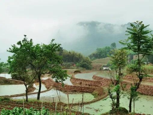 image.png 图片