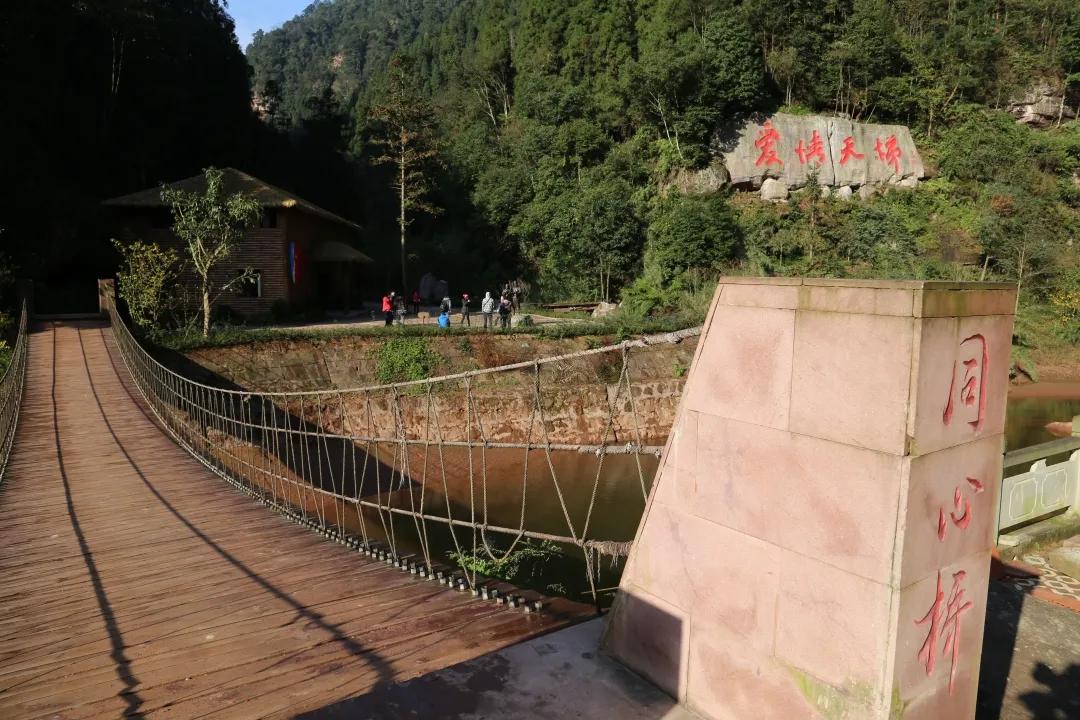IMG_8398.JPG 图片