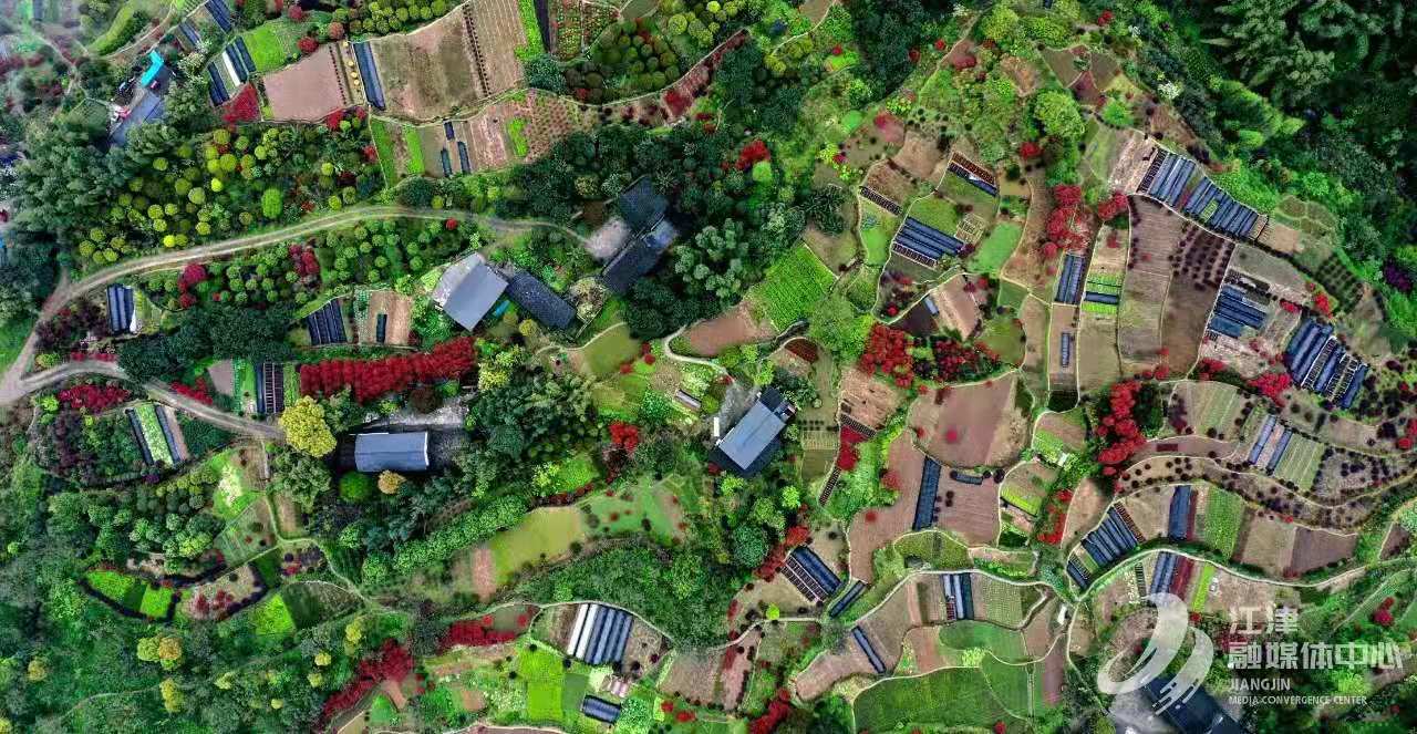 282377_1616296095662863.jpg 川渝6.jpg