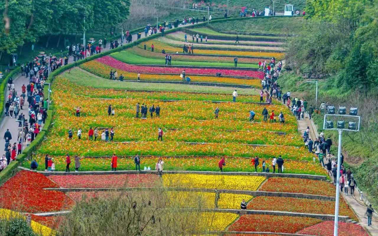 282377_1616296289900962.jpg 川渝5.jpg