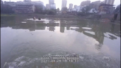 282377_1619519783213309.gif 640.gif