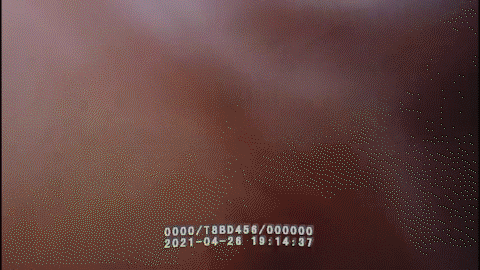 282377_1619519803254512.gif 640 (1).gif