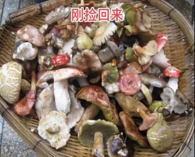 285482_1617959625856648.png 图片2.png
