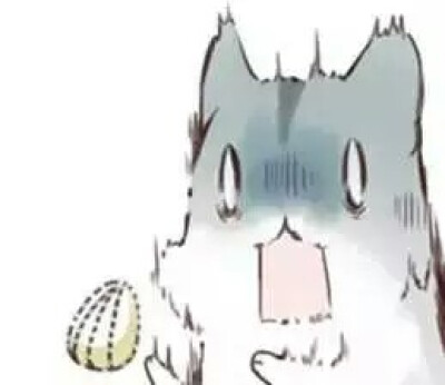 285482_1617959860213960.png 285482_1617959860213960.png