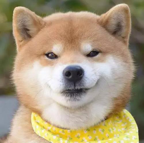 285482_1617959885682426.png 285482_1617959885682426.png