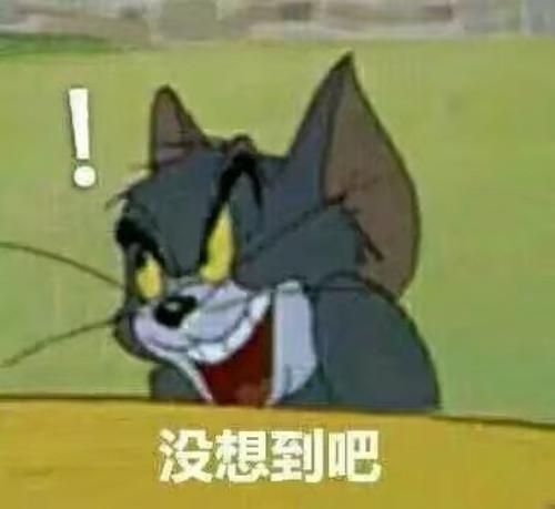 286033_1619752676648701.jpg 没想到吧.jpg