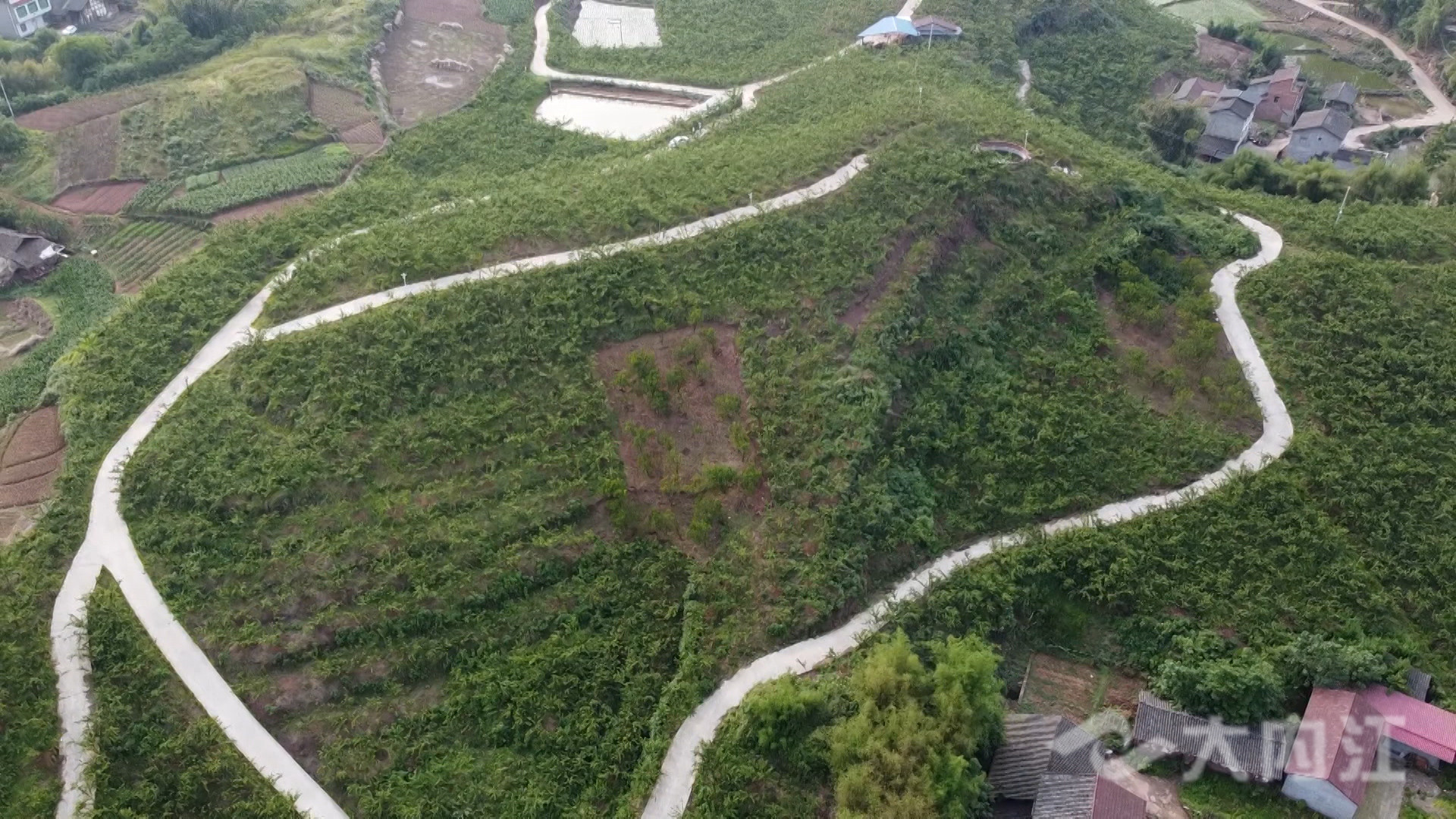 281876_1621842457505563.jpg 微信图片_20210524154439.jpg