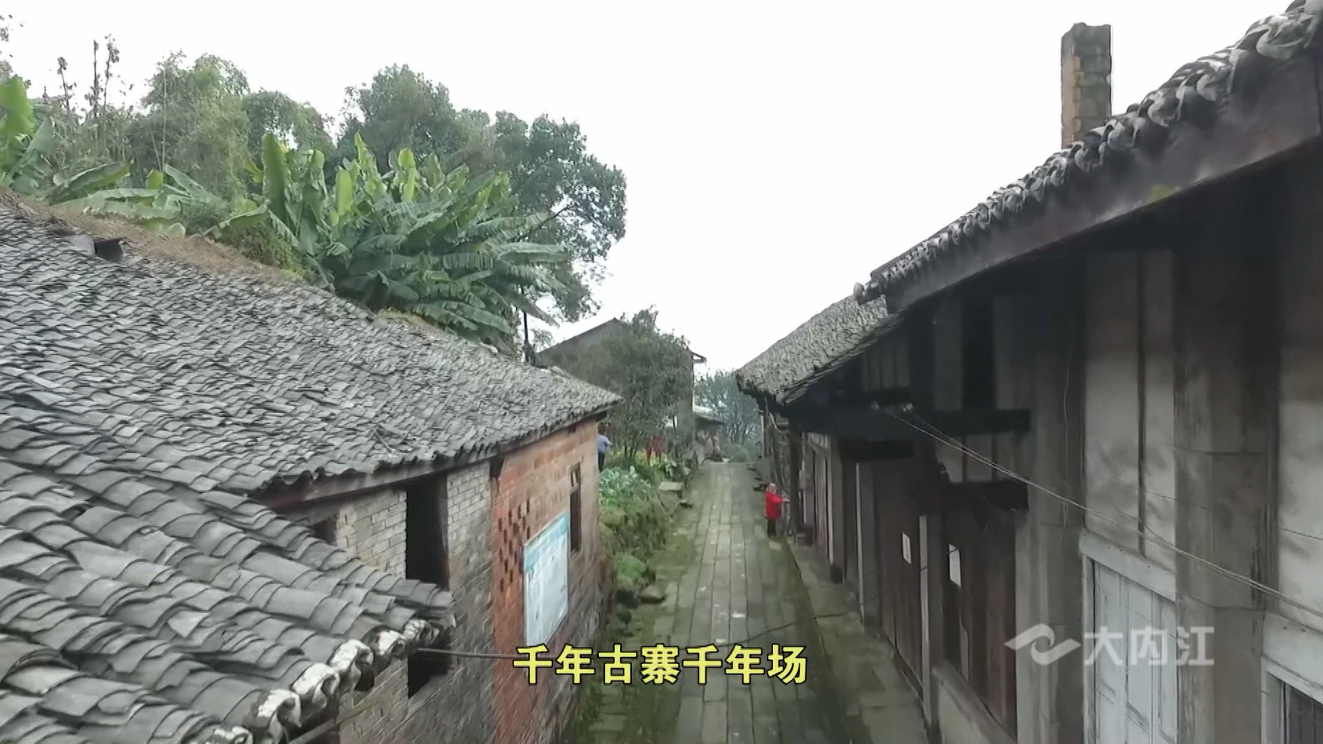 281876_1621844066492137.jpg 微信图片_20210524161026.jpg