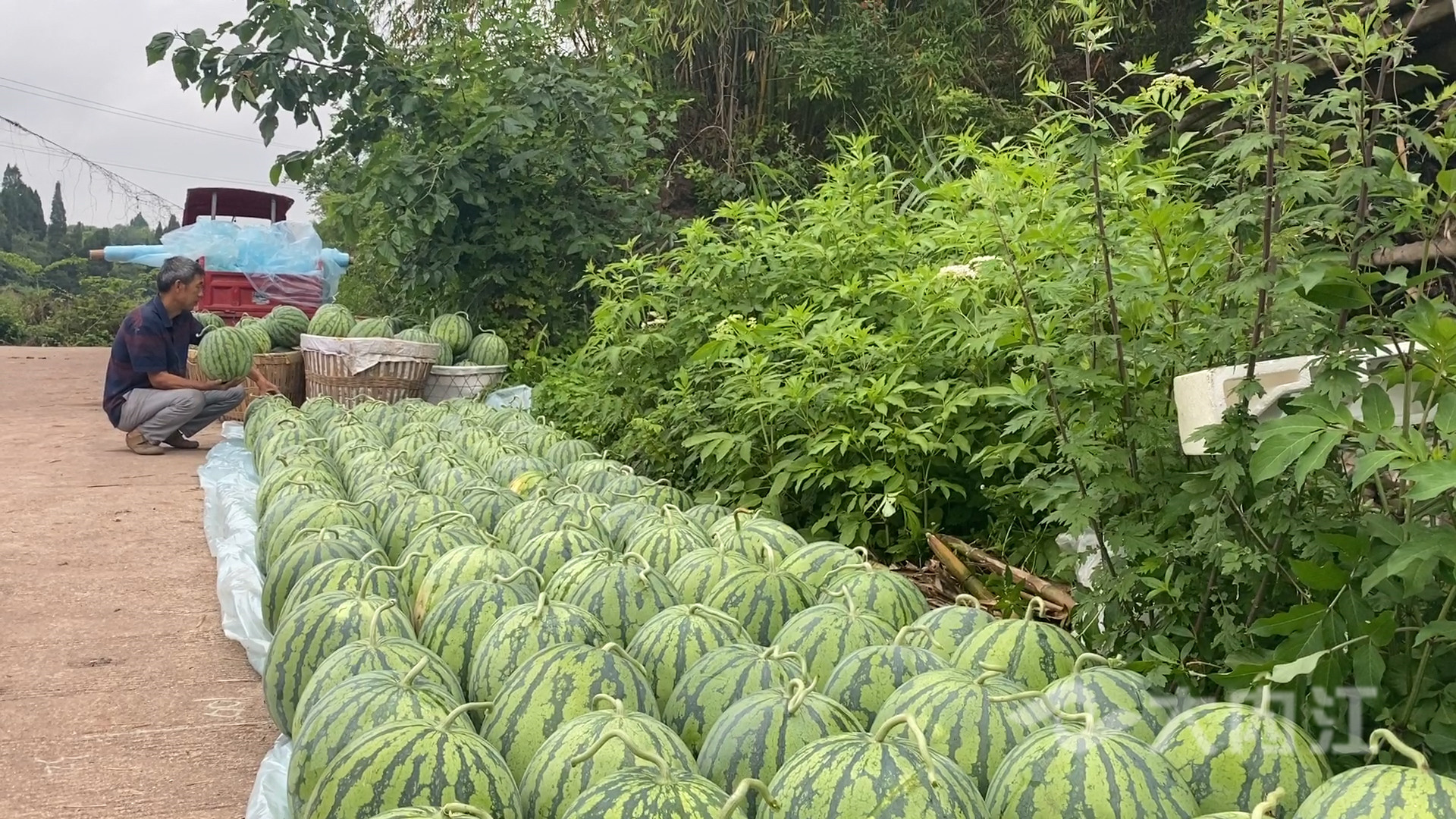 281876_1622001505146192.jpg 微信图片_20210526115700.jpg