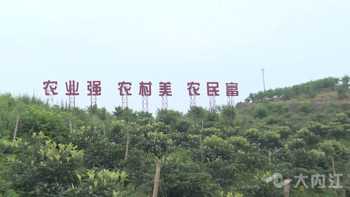 微信图片_20210529145552.png