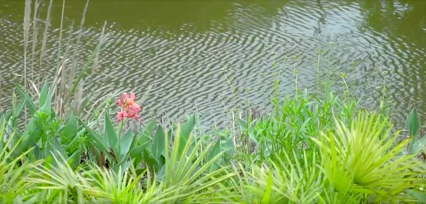281921_1621531855647469.jpg 微信图片_20210521012334.jpg