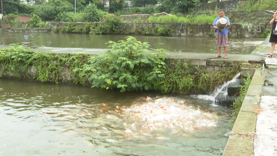 282035_1621323377772369.png 微信图片_20210518153258.png