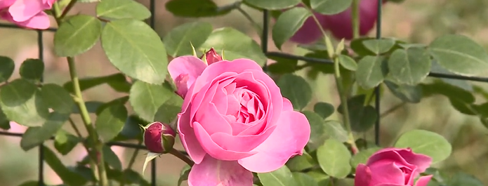 282126_1620110615203999.png 微信图片_20210504144227.png