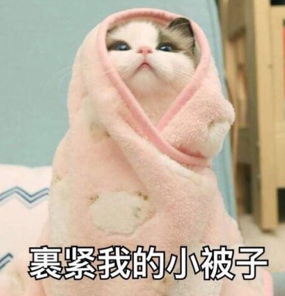 286033_1620371291236886.png 裹紧小杯子.png