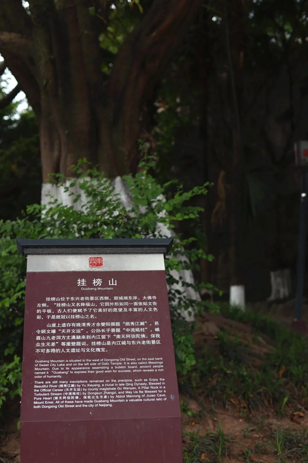 1618198113274218.jpg 图片