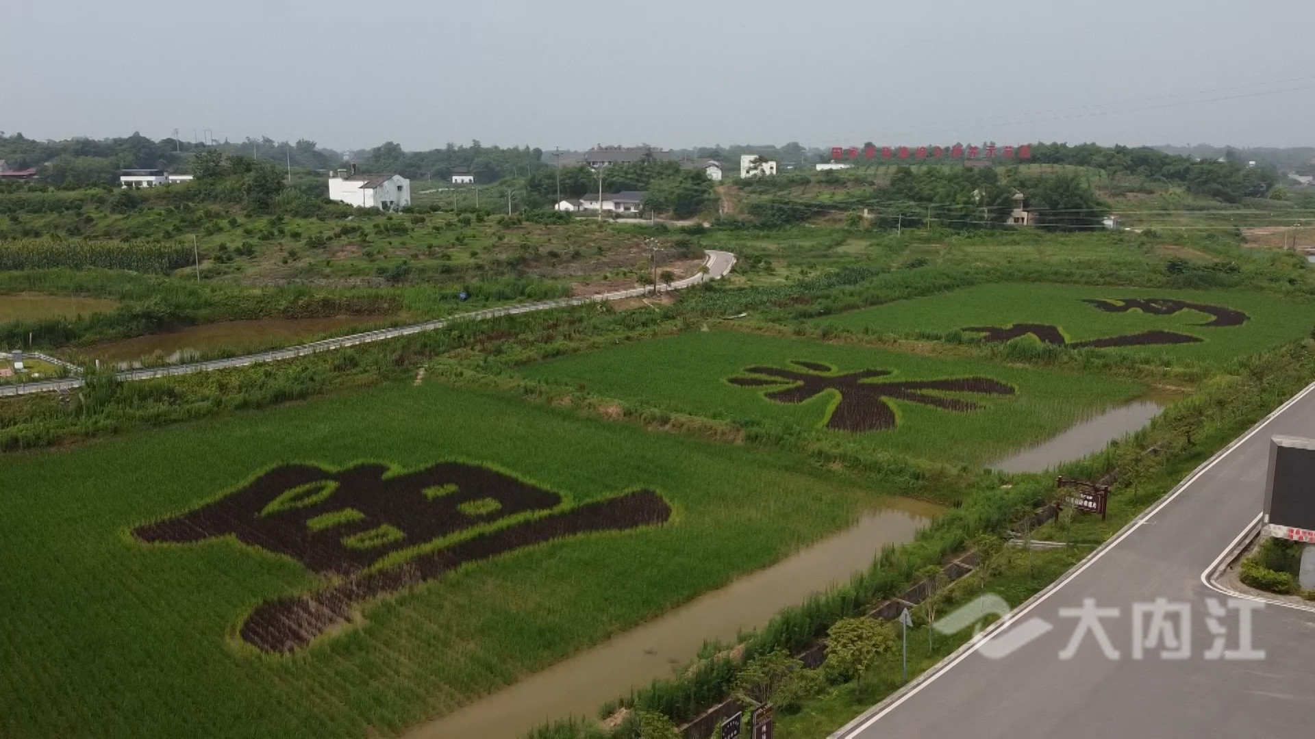微信图片_20210624164708.jpg