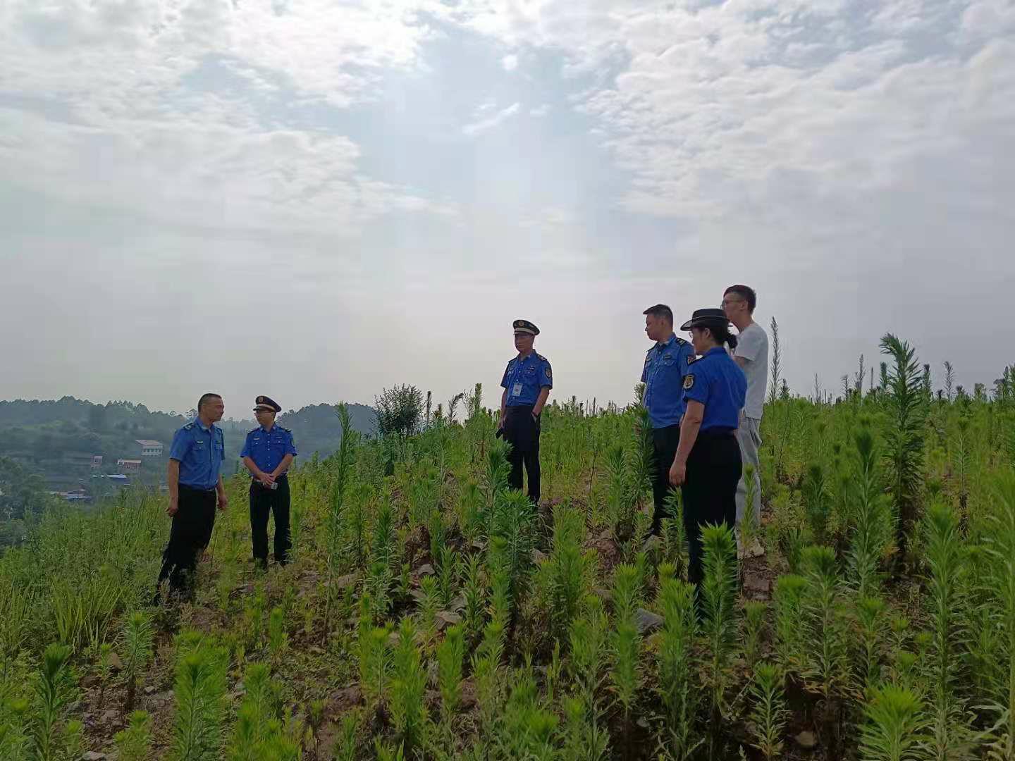 281921_1623940739199486.jpg 福特翼虎哪所大学2.jpg