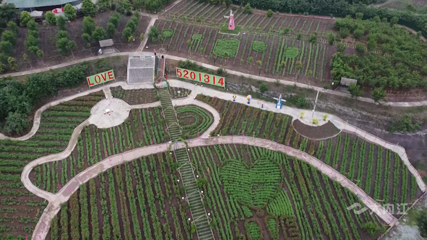 282035_1623727161748514.png 微信图片_20210615111813.png