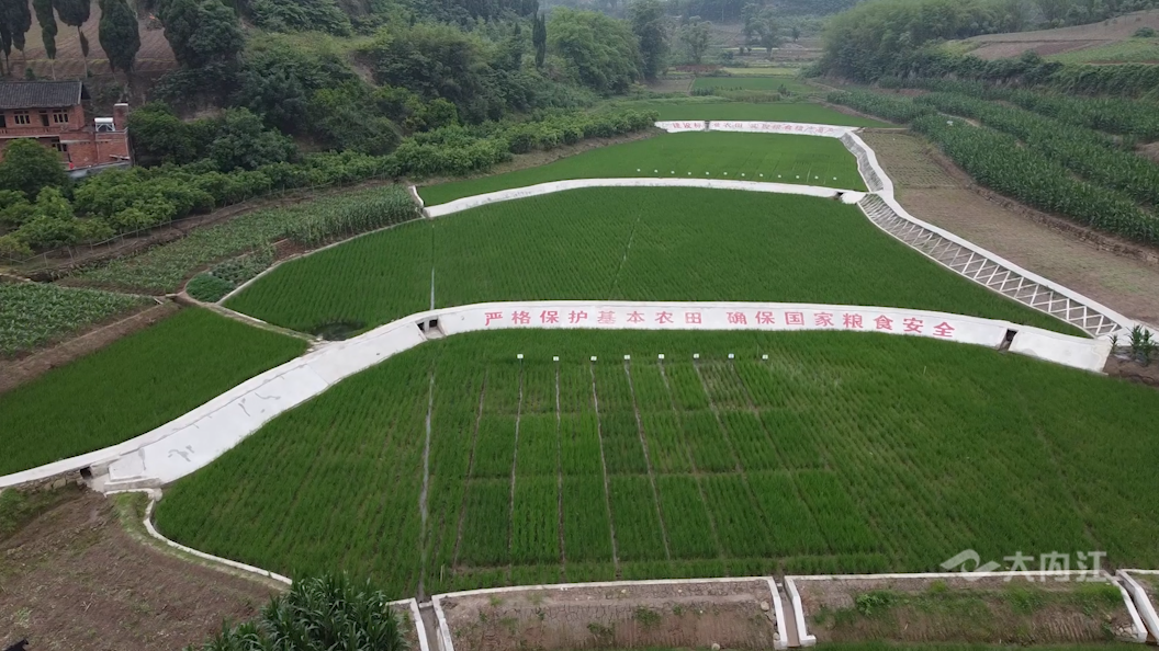 282035_1623749090290048.png 微信图片_20210615172233.png