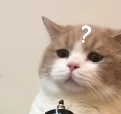 285482_1624863802588870.png 285482_1624863802588870.png
